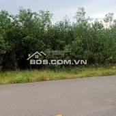 Nợ xấu ngân hàng nhà và đất mặt tiền đường Lộc Bình 6, thị trấn Lộc Giang, huyện Đức Hòa, tỉnh Long An